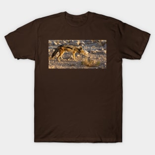 Black backed Jackal. T-Shirt